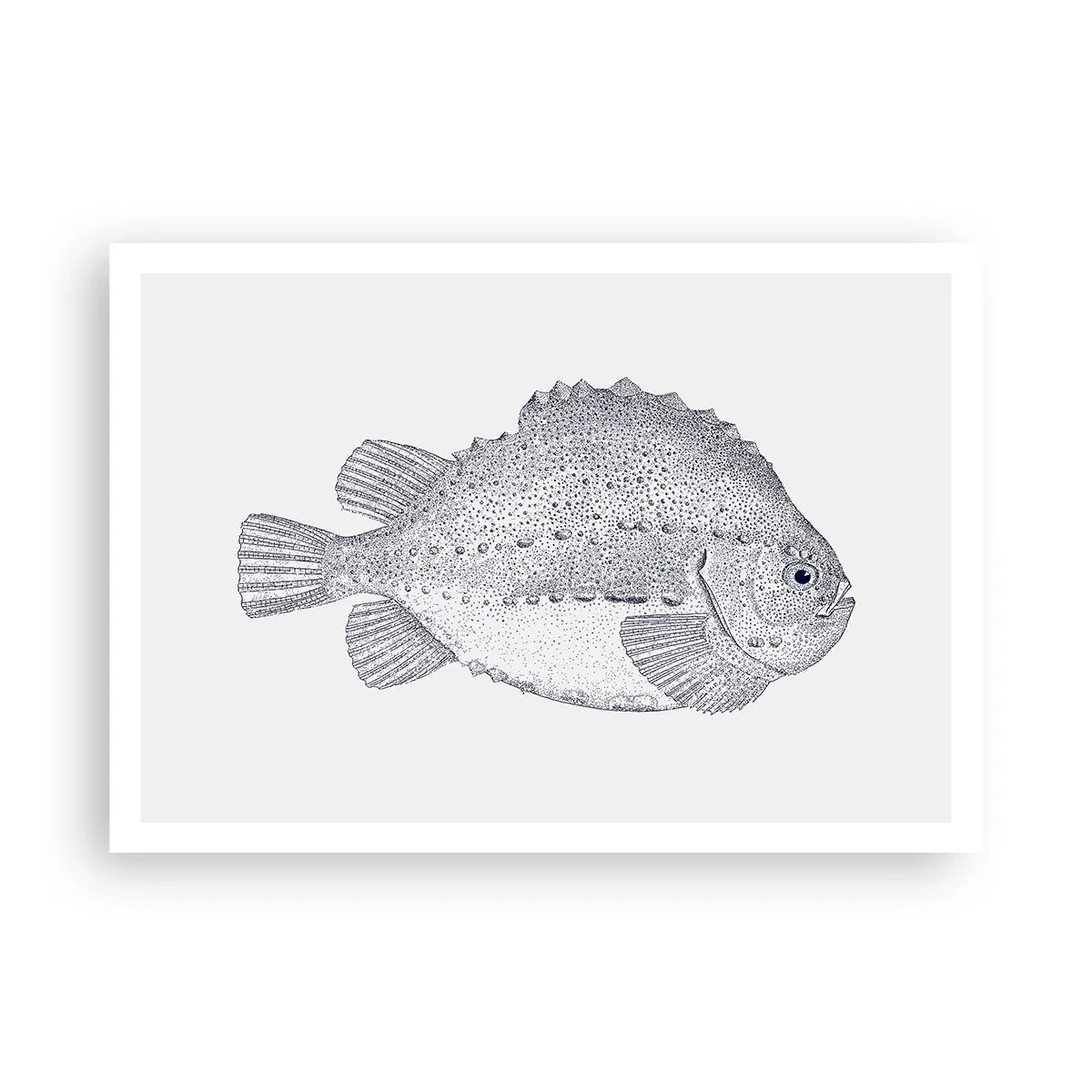 Affiche - Poster - Dessin noir et blanc d'un poisson sur fond blanc dans un style minimaliste - 100x70cm - Pour l'album du naturaliste - Décoration murale moderne pour le salon et la chambre ARTTOR