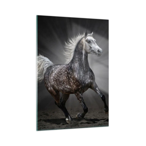 Impression sur verre - Image sur verre - Un cheval au galop sur un fond sombre avec un effet d'éclairage. - 50x70cm - Le gris est beau - Décoration murale moderne pour le salon et la chambre ARTTOR