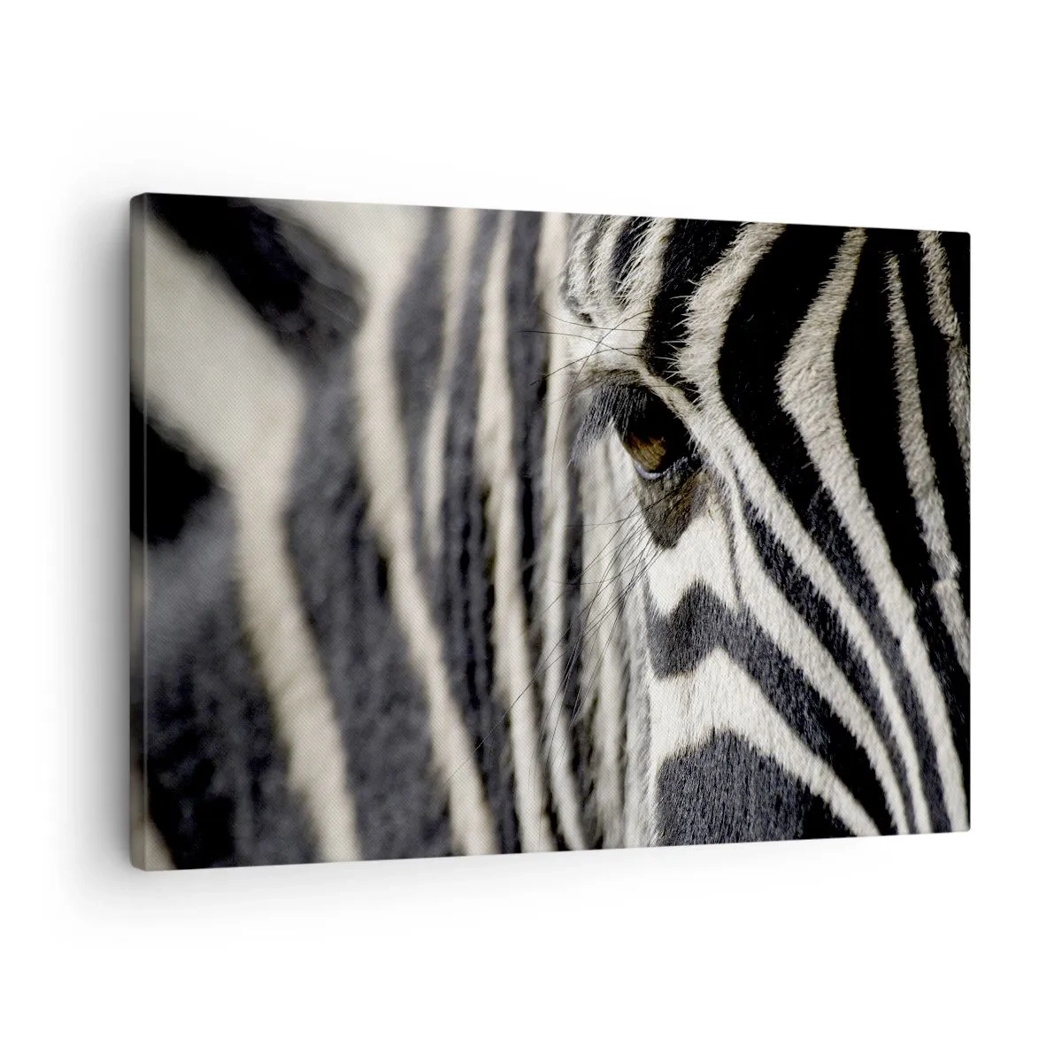 Impression sur toile - Image sur toile - Gros plan de l'œil d'un zèbre avec des rayures noires et blanches - 70x50cm - Portrait en rayure - Décoration murale moderne pour le salon et la chambre ARTTOR