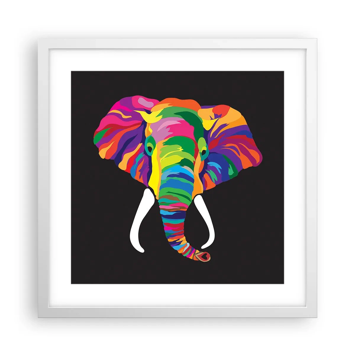 Affiche dans un cadre blanc - Poster - L'éléphant qui aimait se baigner dans un arc-en-ciel - 40x40 cm