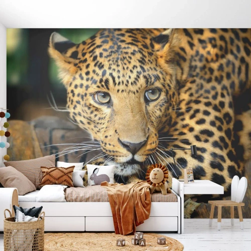 Papier Peint Photo Premium Sand - N'aie pas peur, viens - Animaux, Panthère, Chat sauvage - 450x315 cm