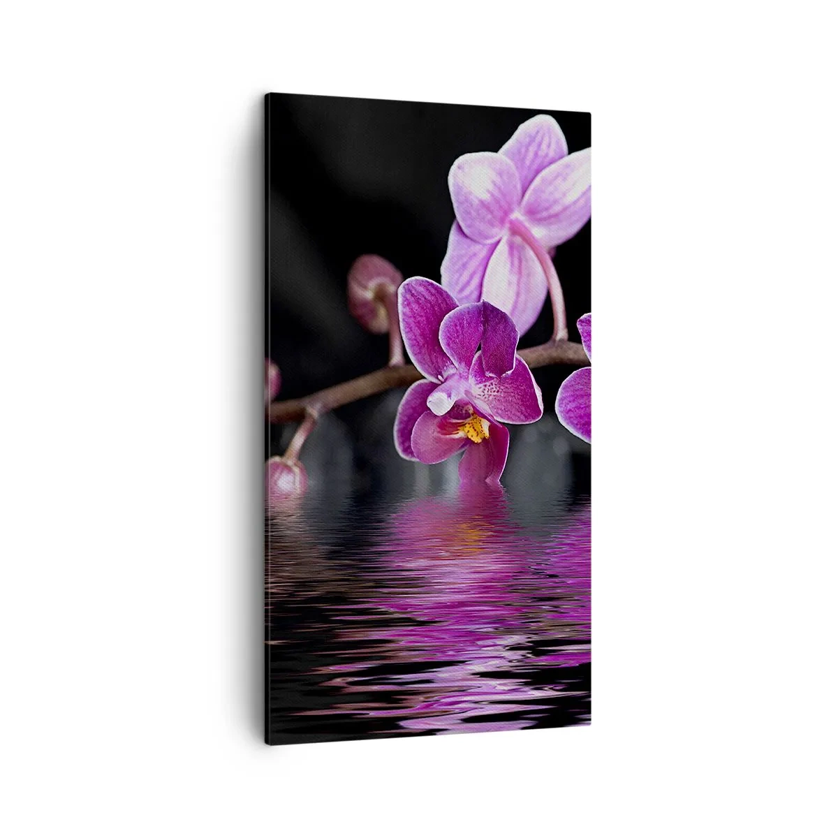 Impression sur toile - Image sur toile - Reflet lilas de la beauté - 45x80 cm