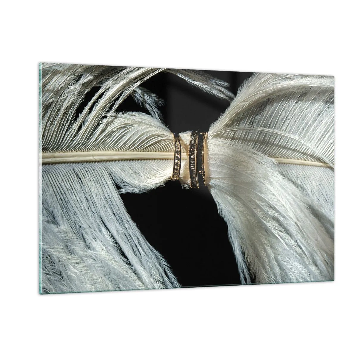 Impression sur verre - Image sur verre - Gros plan d'alliances sur des plumes blanches sur fond noir - 120x80cm - ... et je ne te laisserai pas ... - Décoration murale moderne pour le salon et la chambre ARTTOR