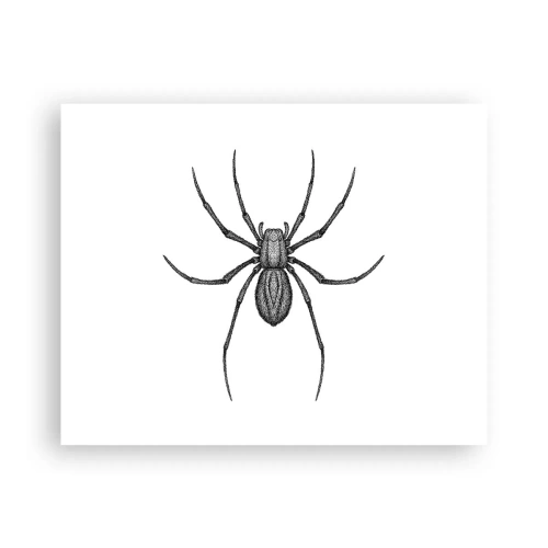 Affiche - Poster - Une précision troublante - 50x40 cm