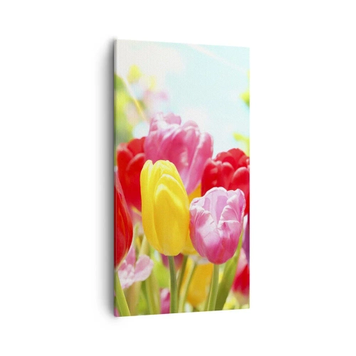 Impression sur toile - Image sur toile - C'est nous, les couleurs de Mai! - 55x100 cm