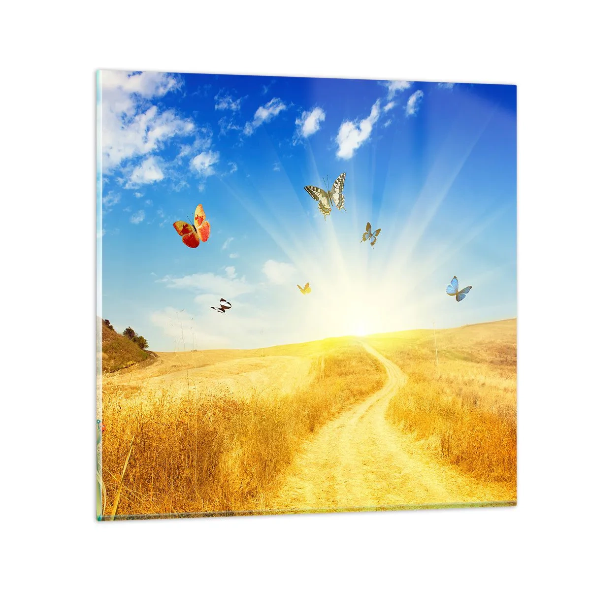 Impression sur verre - Image sur verre - Et comment ne pas aimer l'été ? - 60x60 cm