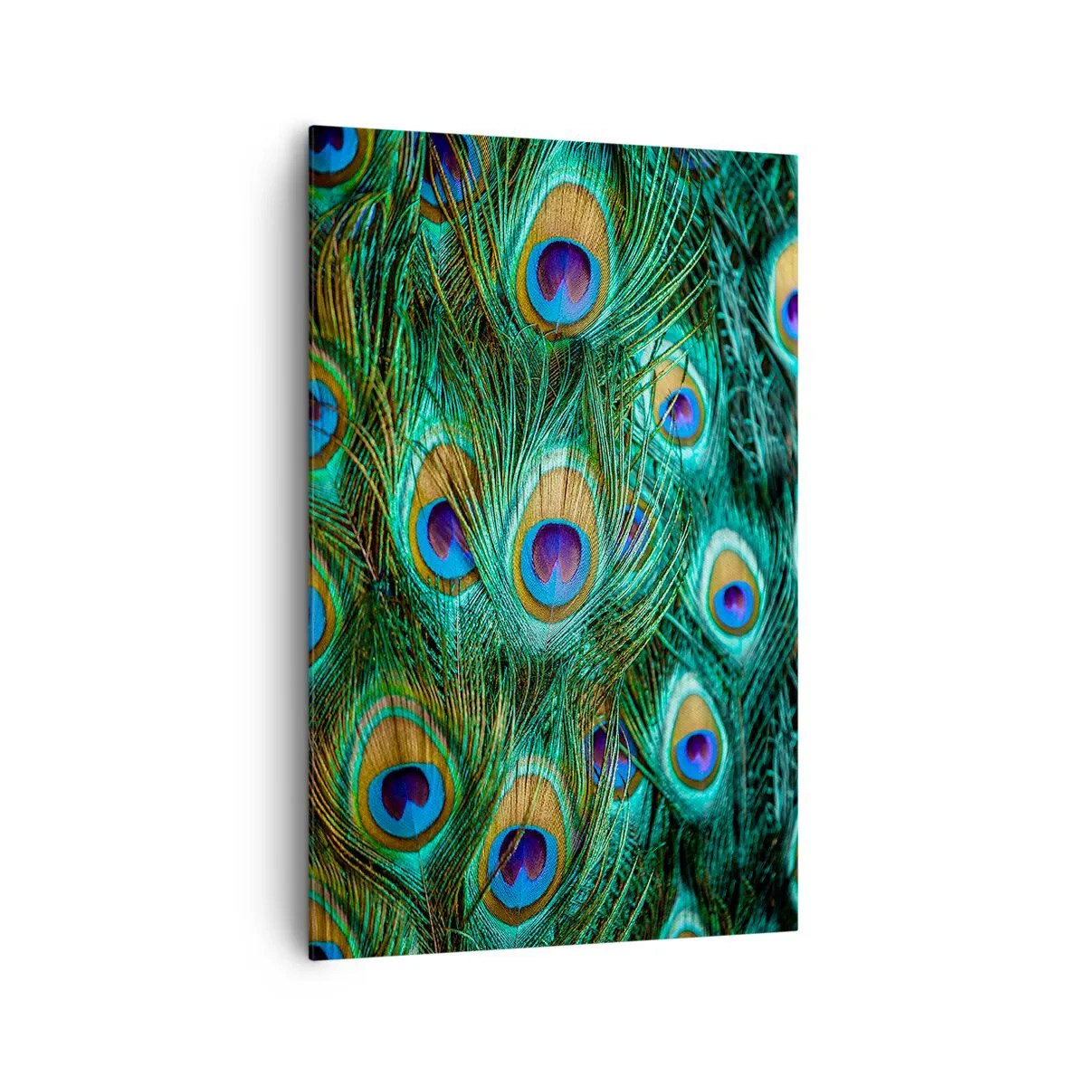 Impression sur toile - Image sur toile - Détails des plumes de paon aux couleurs riches - 80x120cm - Un regard de paon - Décoration murale moderne pour le salon et la chambre ARTTOR