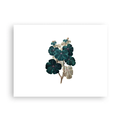 Affiche - Poster - De l'ancien herbier - 40x30 cm