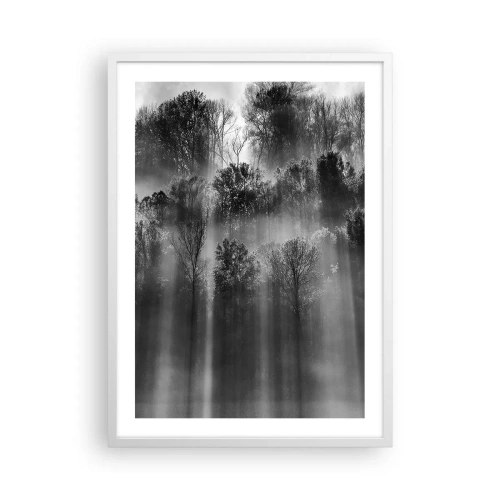 Affiche dans un cadre blanc - Poster - Dans les flots de lumière - 50x70 cm