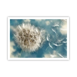 Affiche - Poster - Un pissenlit soufflé contre un ciel bleu - 100x70cm - souffle d'ange - Décoration murale moderne pour le salon et la chambre ARTTOR