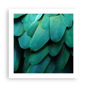 Affiche - Poster - Perfection de la nature du perroquet - 50x50 cm
