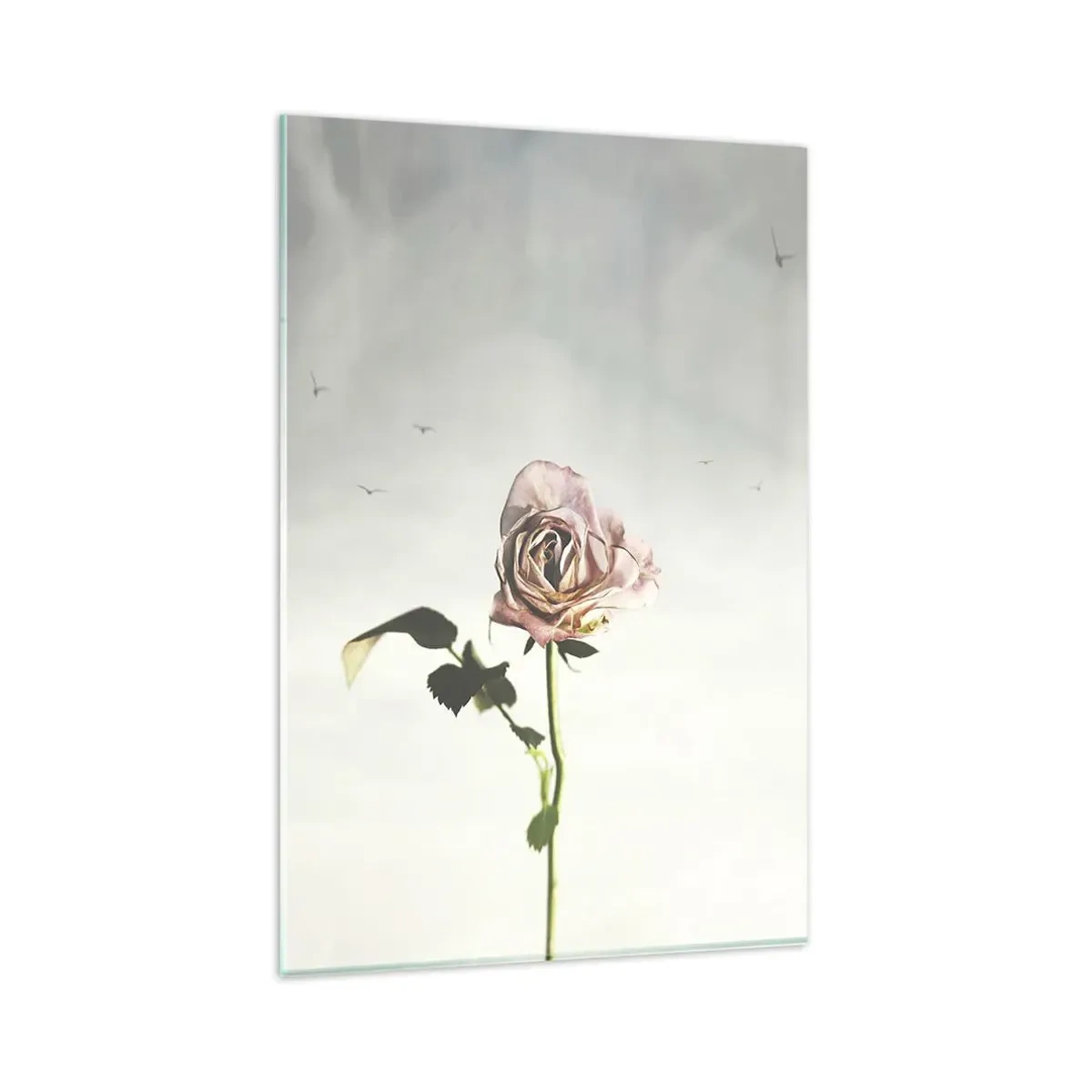 Impression sur verre - Image sur verre - Une rose délicate contre un ciel lumineux avec des oiseaux en vol - 80x120cm - Bonjour de printemps - Décoration murale moderne pour le salon et la chambre ARTTOR