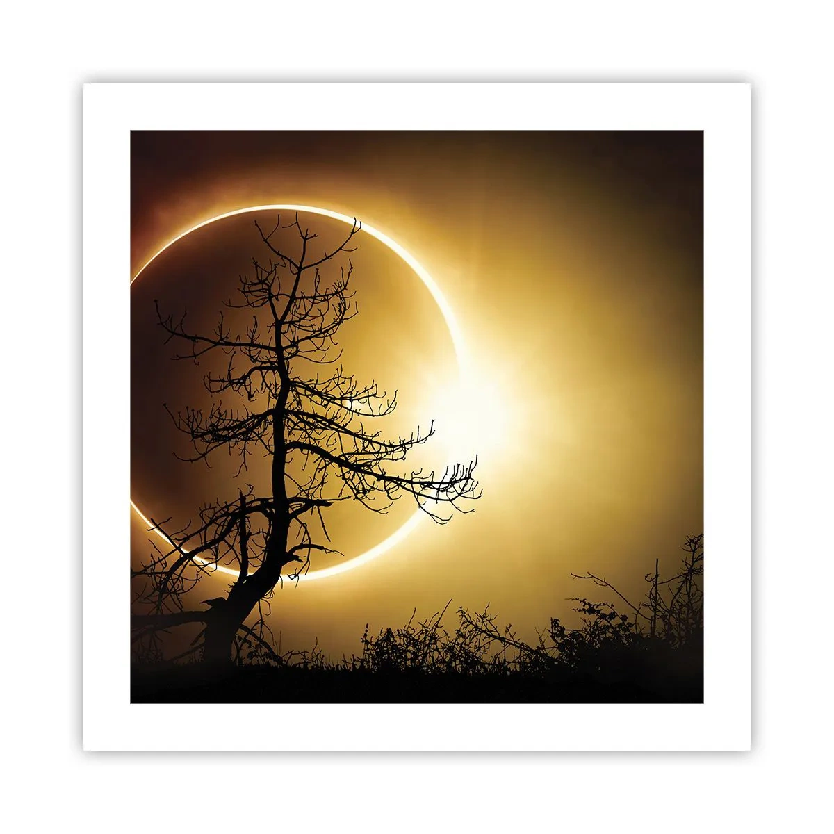 Affiche - Poster - Éclipse totale - 50x50 cm