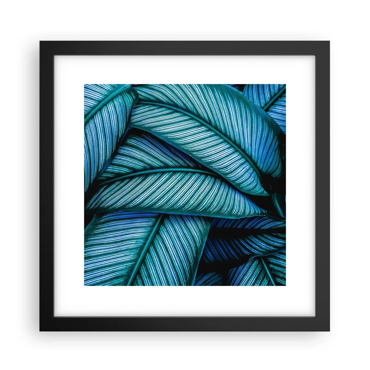 Affiche dans un cadre noir - Poster - Lignes de vie - 30x30 cm