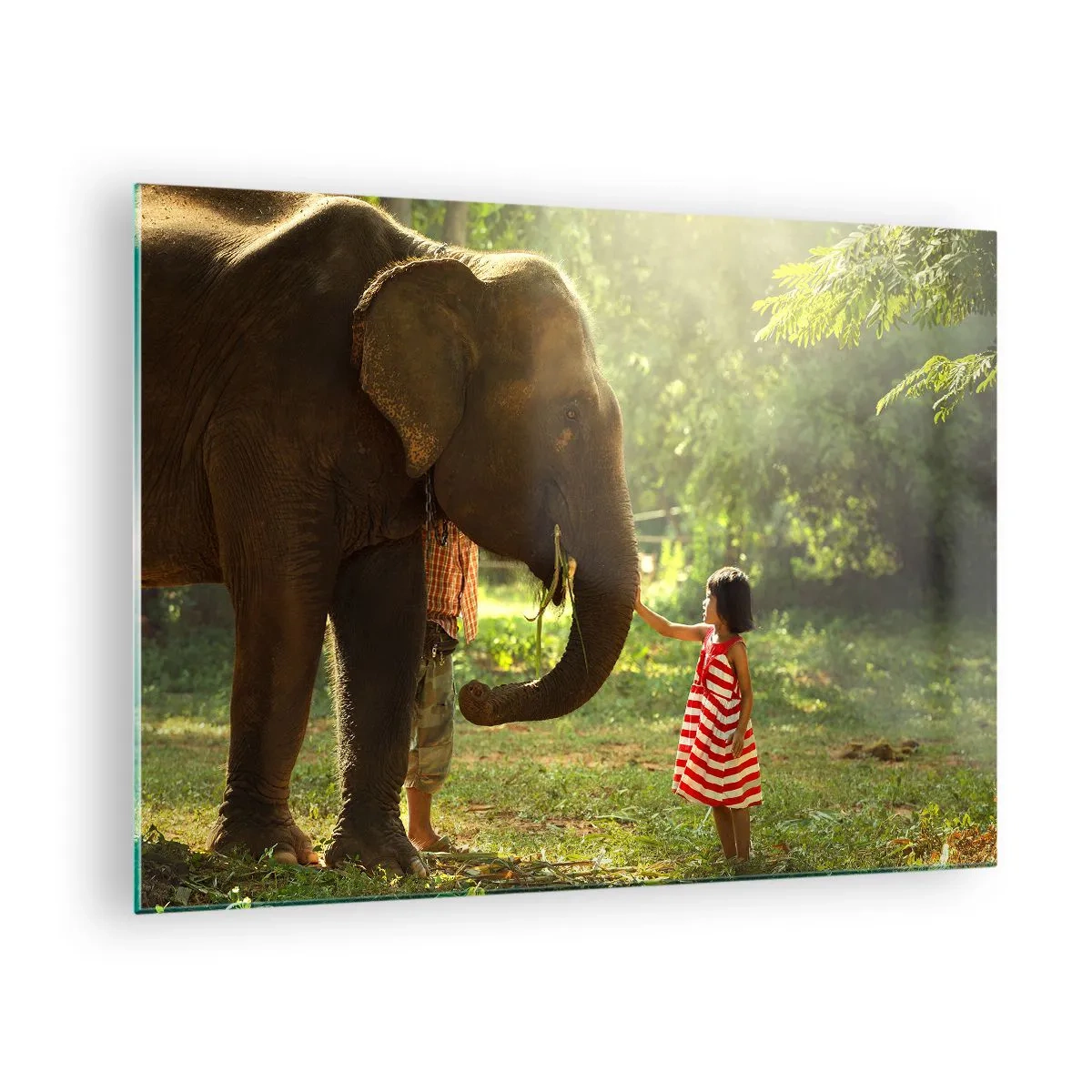 Impression sur verre - Image sur verre - Une fille en robe rouge touchant un éléphant dans la forêt. - 70x50cm - La force de l'amitié - Décoration murale moderne pour le salon et la chambre ARTTOR