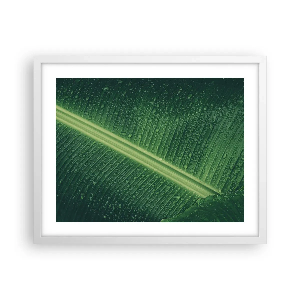 Affiche dans un cadre blanc - Poster - Structure de vert - 50x40 cm