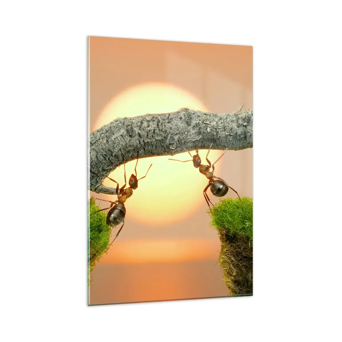 Impression sur verre - Image sur verre - Des fourmis construisent un pont de branches sur fond de soleil couchant. - 80x120cm - La joie, travaille d'équipe - Décoration murale moderne pour le salon et la chambre ARTTOR
