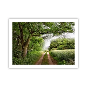 Affiche - Poster - Et in Arcadia ego - 70x50 cm