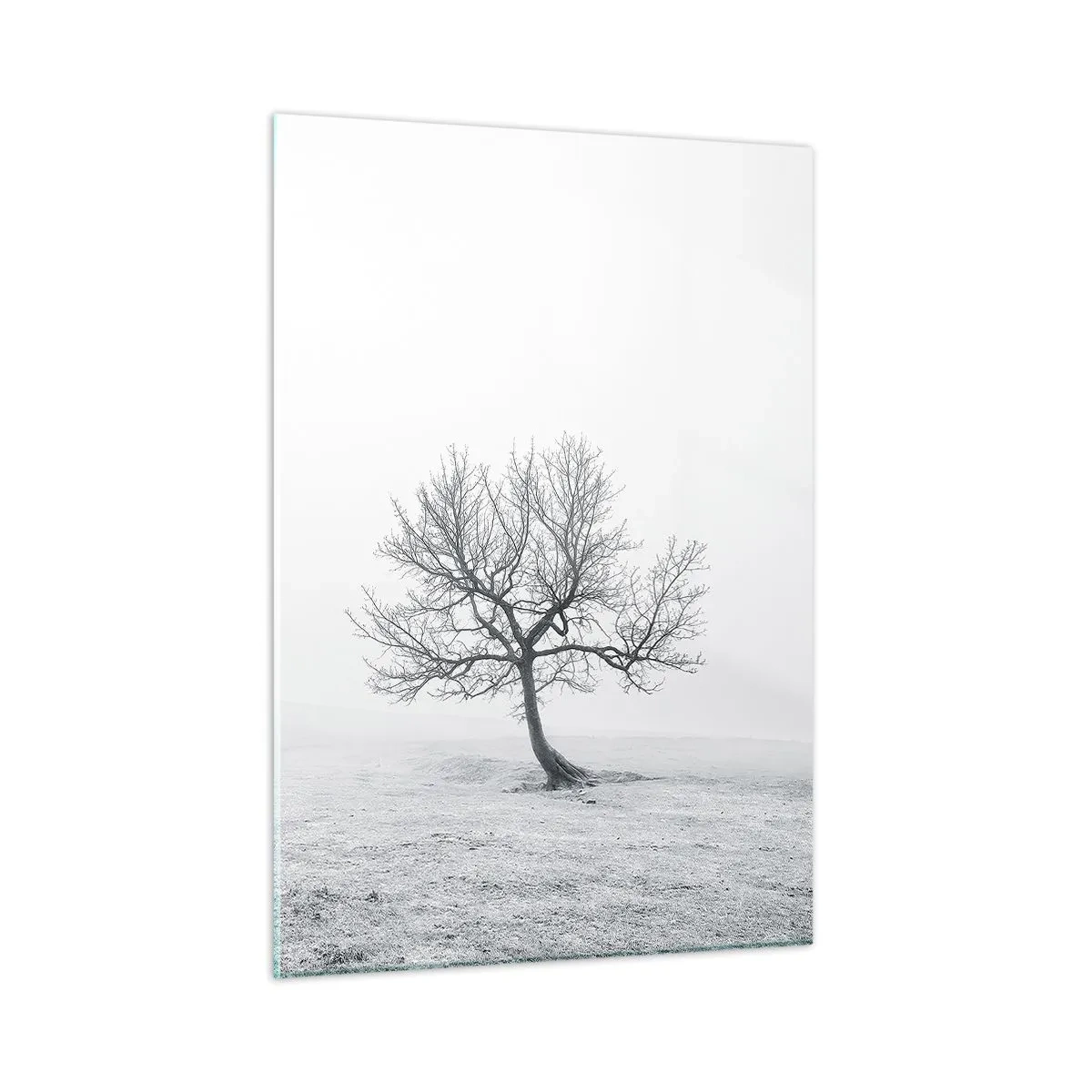 Impression sur verre - Image sur verre - Un arbre solitaire contre le brouillard dans une composition monochrome - 50x70cm - Contre le néant - Décoration murale moderne pour le salon et la chambre ARTTOR
