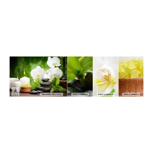 Échantillon De Papier Peint Standard Eco - Doux, floral, toucher délicat - Fleurs, Orchidée, Orchidée - 100x30 cm