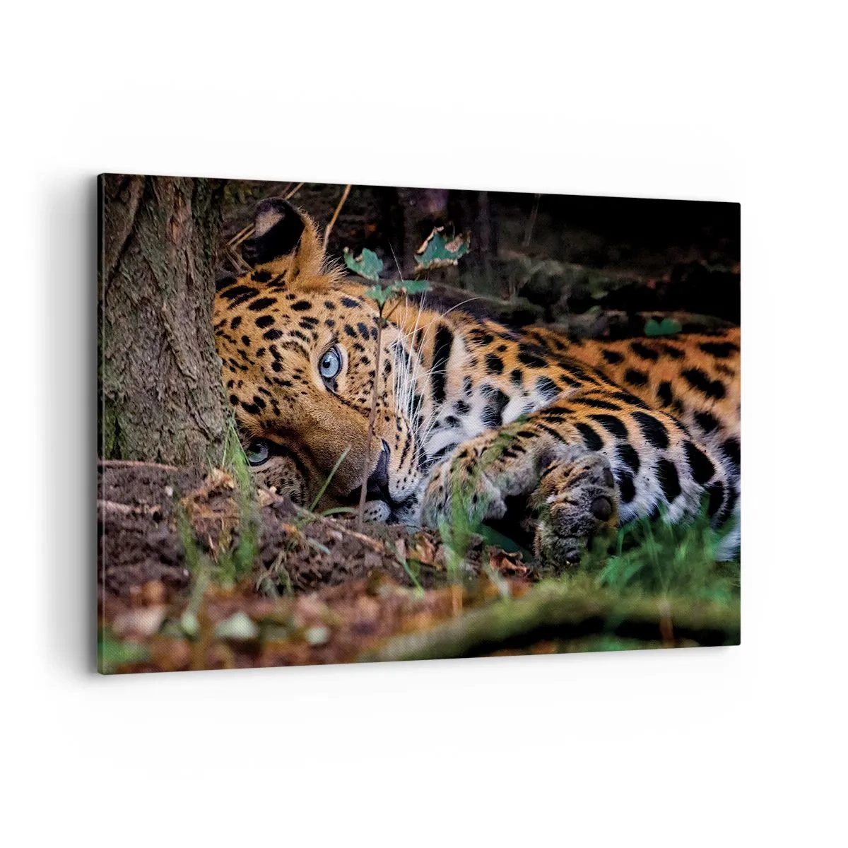 Impression sur toile - Image sur toile - Un léopard couché à l'ombre des arbres - 120x80cm - Fais-moi confiance - Décoration murale moderne pour le salon et la chambre ARTTOR