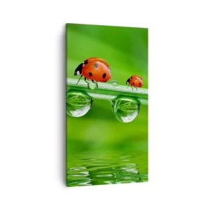 Impression sur toile - Image sur toile - Sur la route tout l'été - 45x80 cm