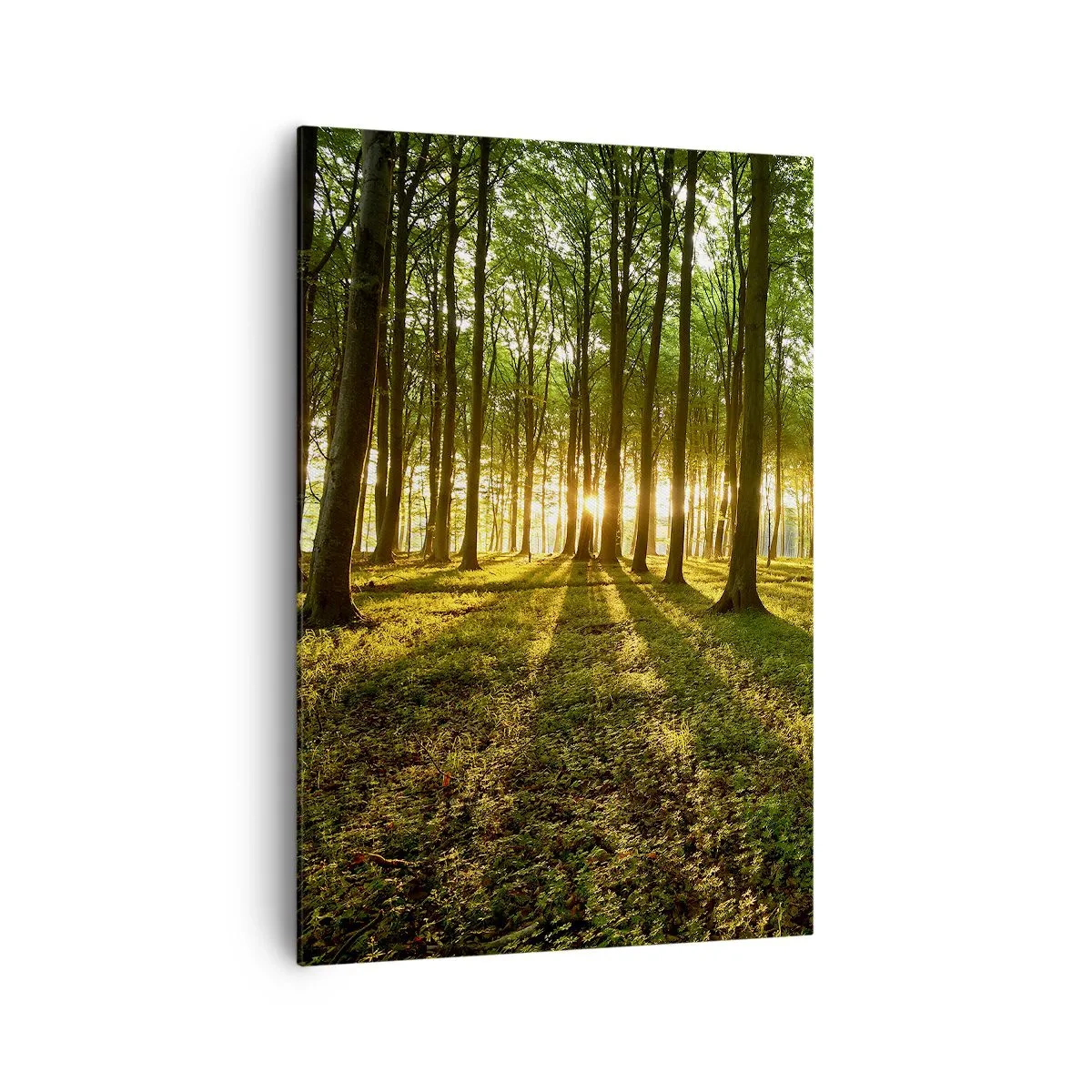 Impression sur toile - Image sur toile - Le soleil couchant dans la forêt de feuillus - 70x100cm - Toutes les photographies de printemps - Décoration murale moderne pour le salon et la chambre ARTTOR
