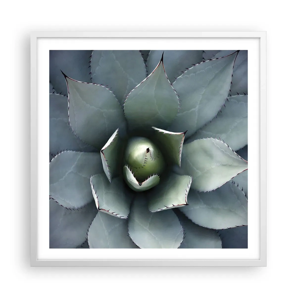 Affiche dans un cadre blanc - Poster - Wabi et observe - 60x60 cm