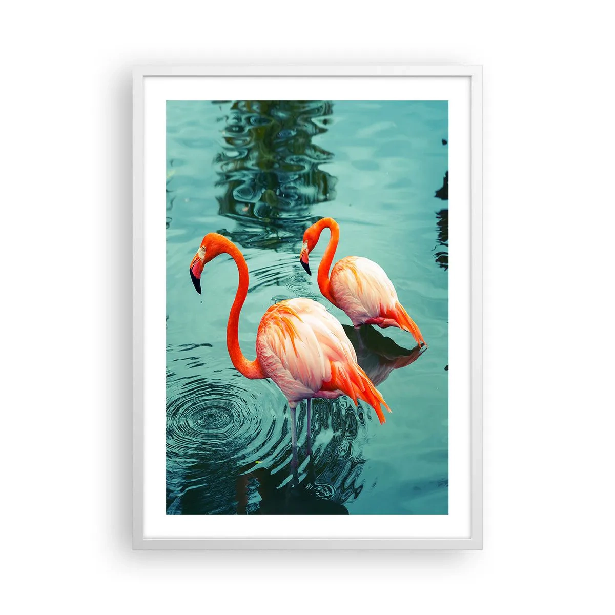 Affiche dans un cadre blanc - Poster - Nous sommes à la mode maintenant - 50x70 cm