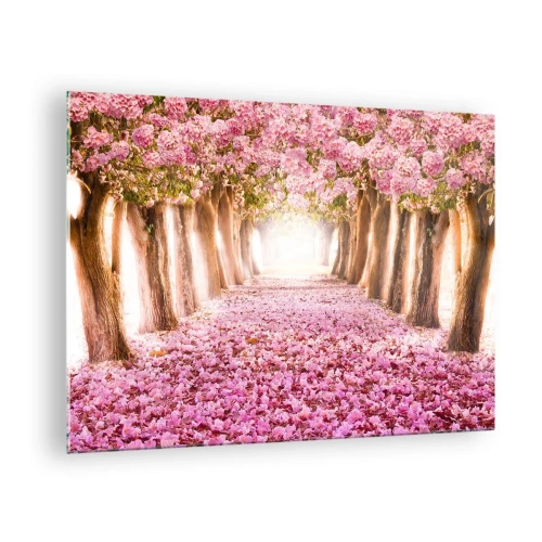 Impression sur verre - Image sur verre - Une allée d'arbres en fleurs avec des pétales roses au sol - 70x50cm - La route du paradis - Décoration murale moderne pour le salon et la chambre ARTTOR
