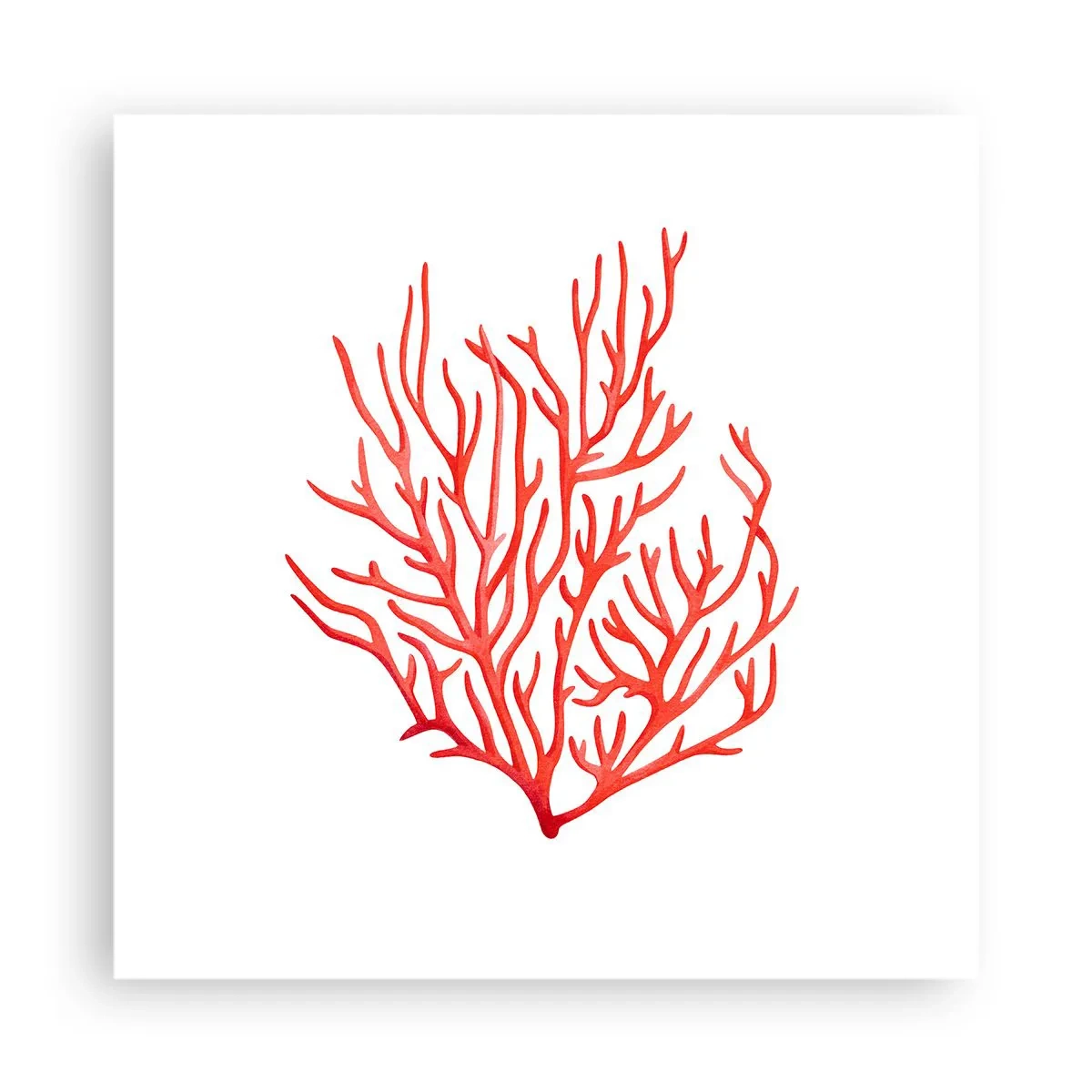 Affiche - Poster - Filigrane de corail - 40x40 cm