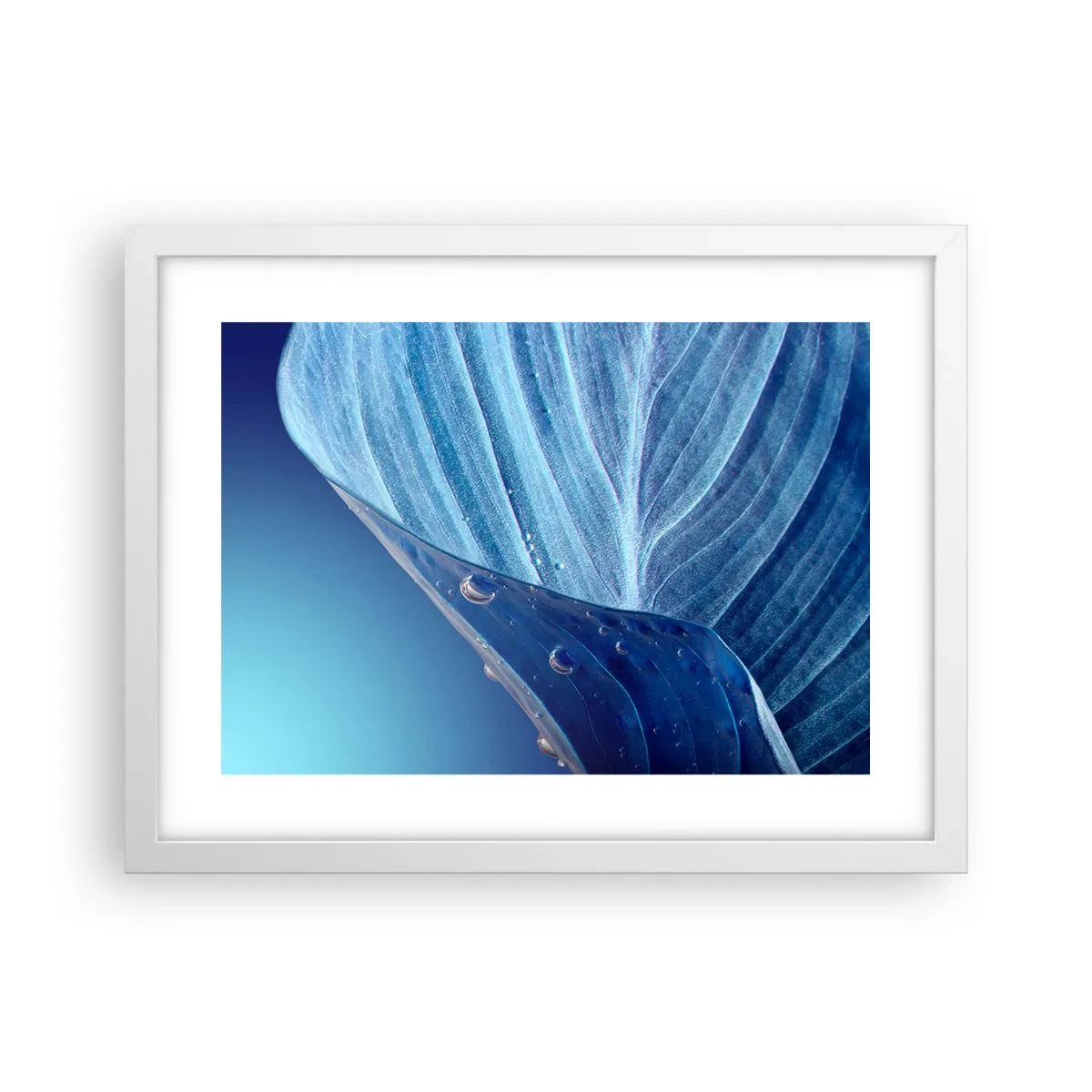 Affiche dans un cadre blanc - Poster - Gouttes cachées du bleu - 40x30 cm