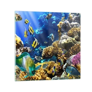 Impression sur verre - Image sur verre - Beaucoup de circulation sur la route des vacances - 50x50 cm