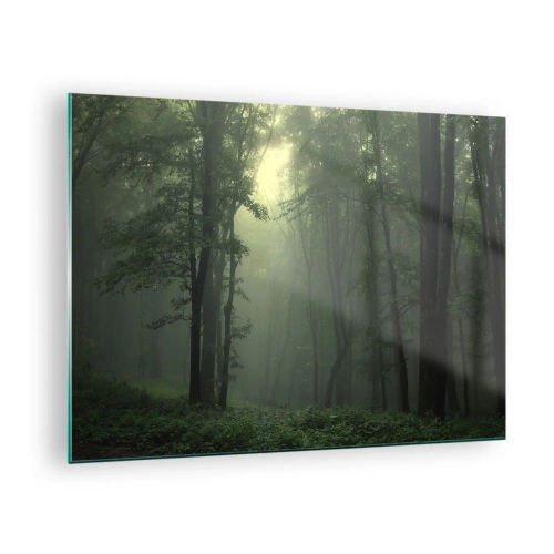 Impression sur verre - Image sur verre - Une forêt sombre enveloppée de brouillard avec des rayons de lumière - 70x50cm - Avant qu'il ne se réveille - Décoration murale moderne pour le salon et la chambre ARTTOR