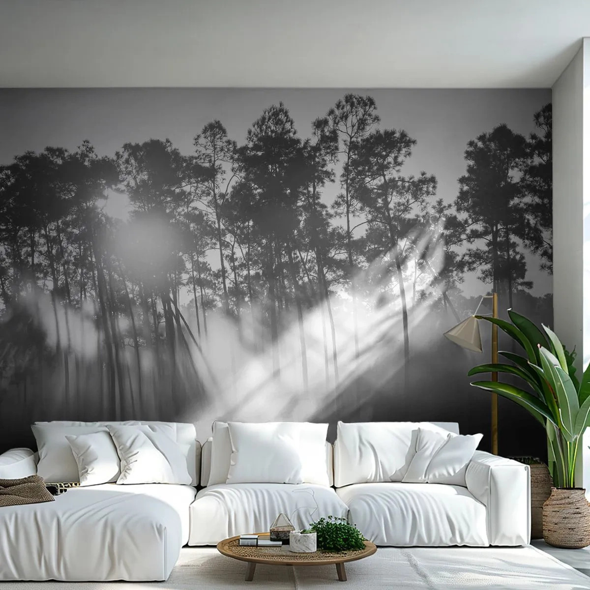 Papier Peint Photo Premium Sand - Paysage de forêt brumeuse en noir et blanc avec des rayons de soleil - 100x70cm - Soleil inarrêtable - Décoration murale moderne pour le salon et la chambre ARTTOR