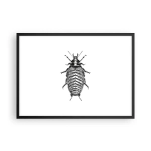 Affiche dans un cadre noir - Poster - Graphique d'un insecte noir et blanc sur fond blanc - 70x50cm - Quel spécimen! - Décoration murale moderne pour le salon et la chambre ARTTOR