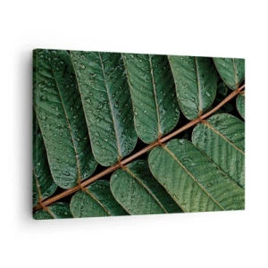 Impression sur toile - Image sur toile - Macro shot de feuilles vertes avec des gouttes de rosée - 70x50cm - Au rythme de la verdure - Décoration murale moderne pour le salon et la chambre ARTTOR