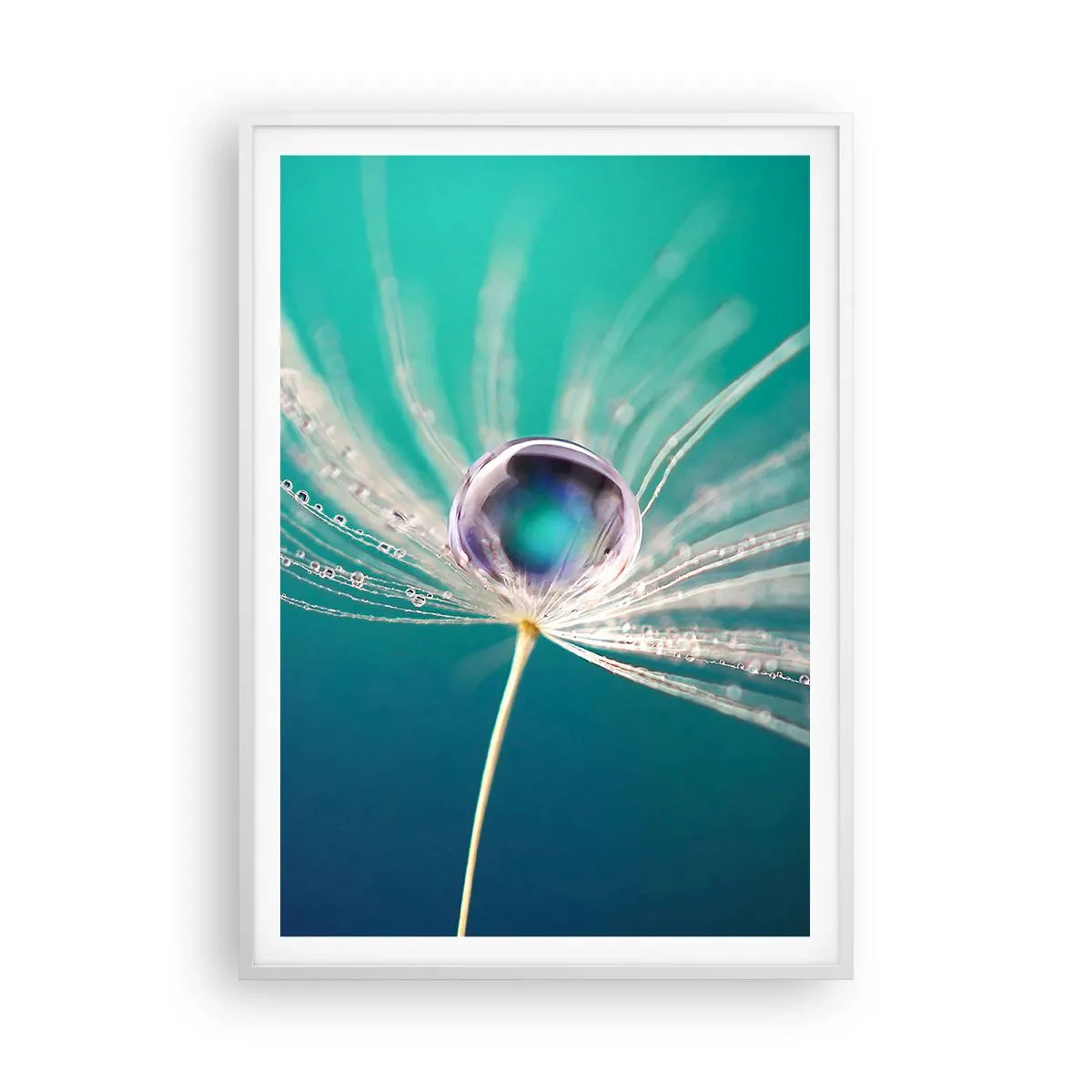 Affiche dans un cadre blanc - Poster - Moment mystique - 70x100 cm