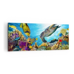 Impression sur toile - Image sur toile - Monde sous-marin avec des poissons colorés et une tortue dans le corail - 120x50cm - Promenade de corail - Décoration murale moderne pour le salon et la chambre ARTTOR