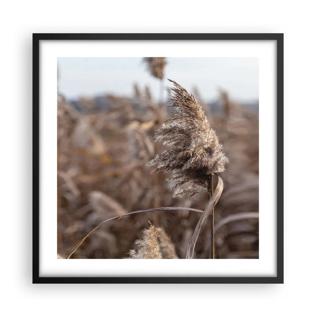 Affiche dans un cadre noir - Poster - Il est temps de s'envoler avec le vent - 50x50 cm