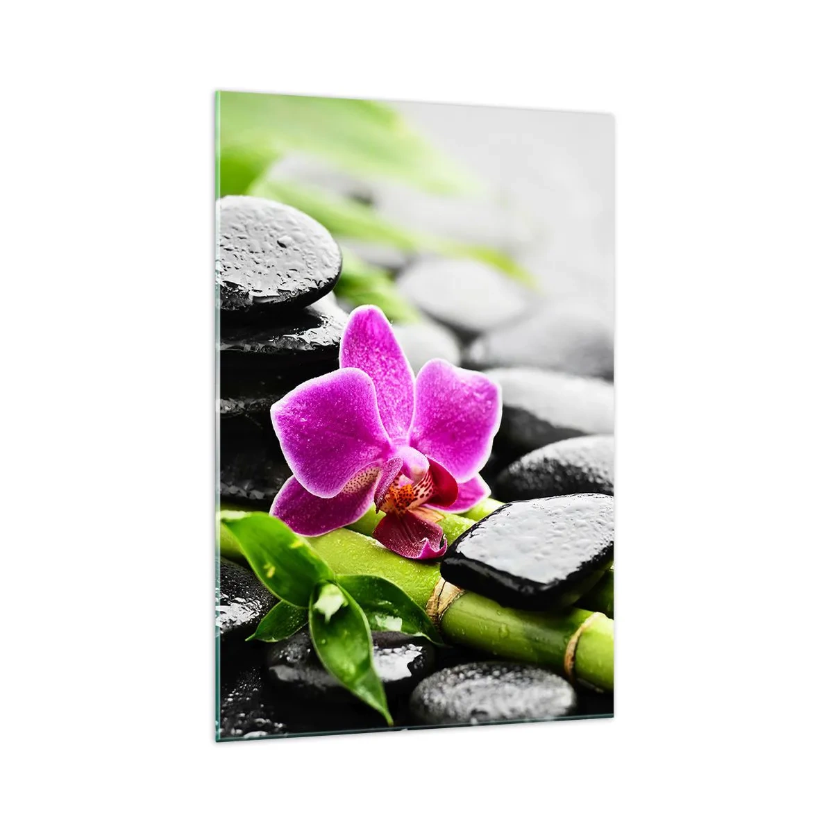 Impression sur verre - Image sur verre - Orchidée violette, pierres noires et bambou dans une composition tranquille - 70x100cm - Dans un équilibre de calme - Décoration murale moderne pour le salon et la chambre ARTTOR
