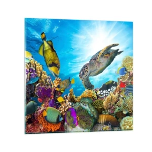 Impression sur verre - Image sur verre - Promenade de corail - 40x40 cm