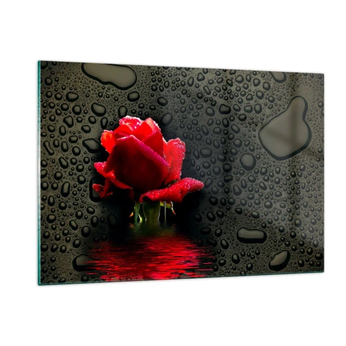 Impression sur verre - Image sur verre - Rose rouge avec des gouttes d'eau sur un fond sombre - 120x80cm - Rouge et noir - Décoration murale moderne pour le salon et la chambre ARTTOR