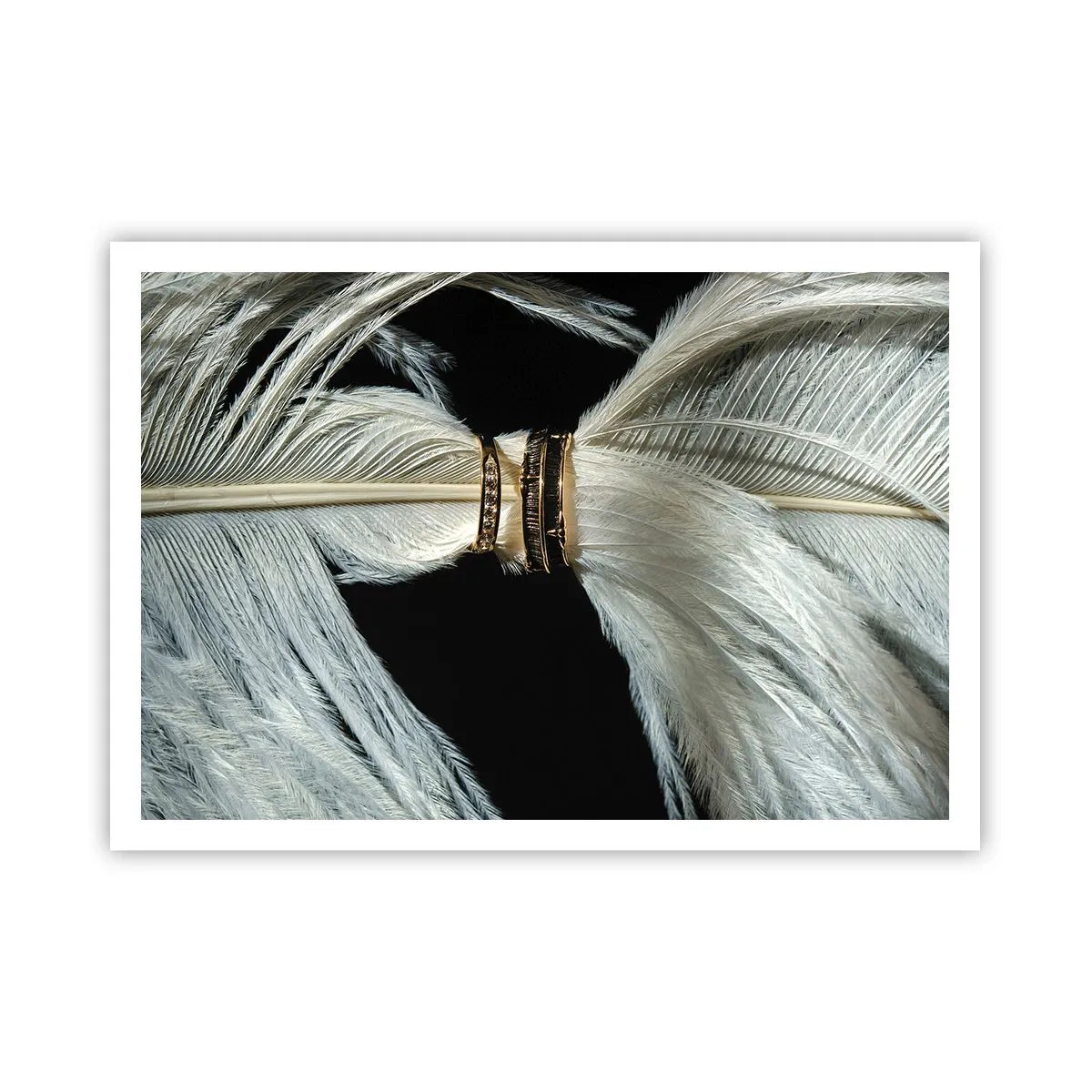 Affiche - Poster - Une plume blanche avec deux anneaux d'or sur fond noir - 100x70cm - ... et je ne te laisserai pas ... - Décoration murale moderne pour le salon et la chambre ARTTOR