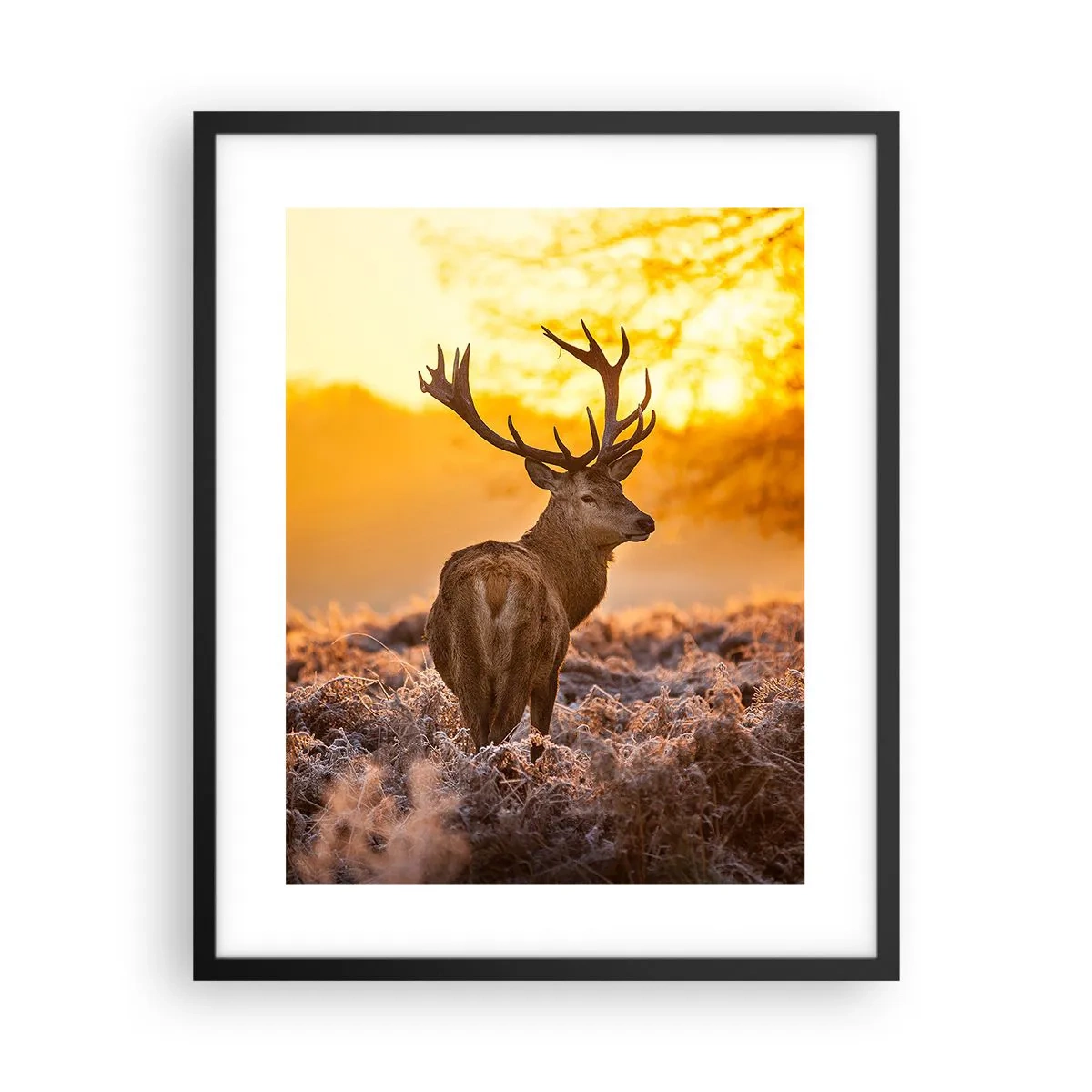 Affiche dans un cadre noir - Poster - Roi de la forêt automnal - 40x50 cm