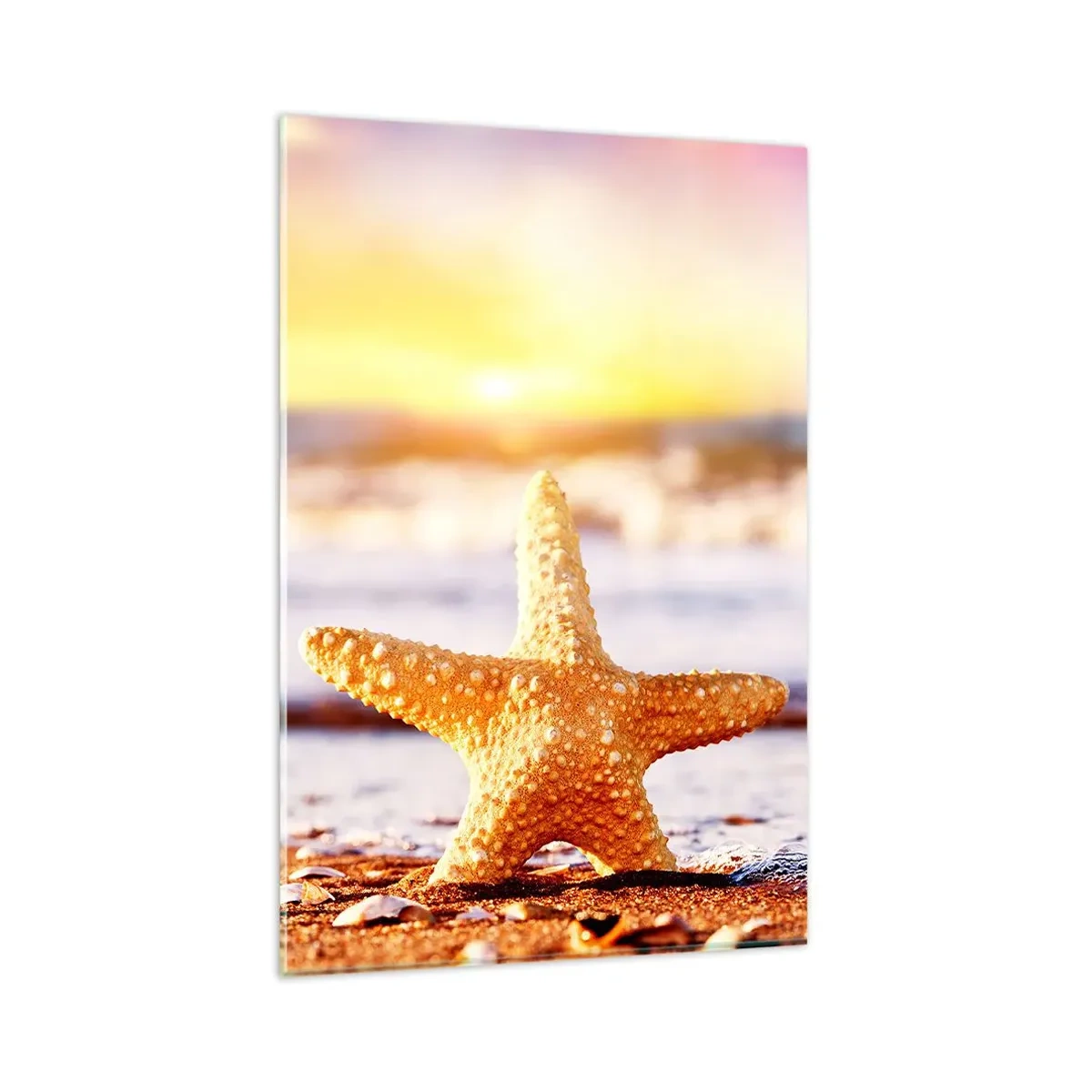 Impression sur verre - Image sur verre - Une étoile de mer sur une plage de sable à la lueur du soleil couchant - 80x120cm - Cadeau de la mer - Décoration murale moderne pour le salon et la chambre ARTTOR