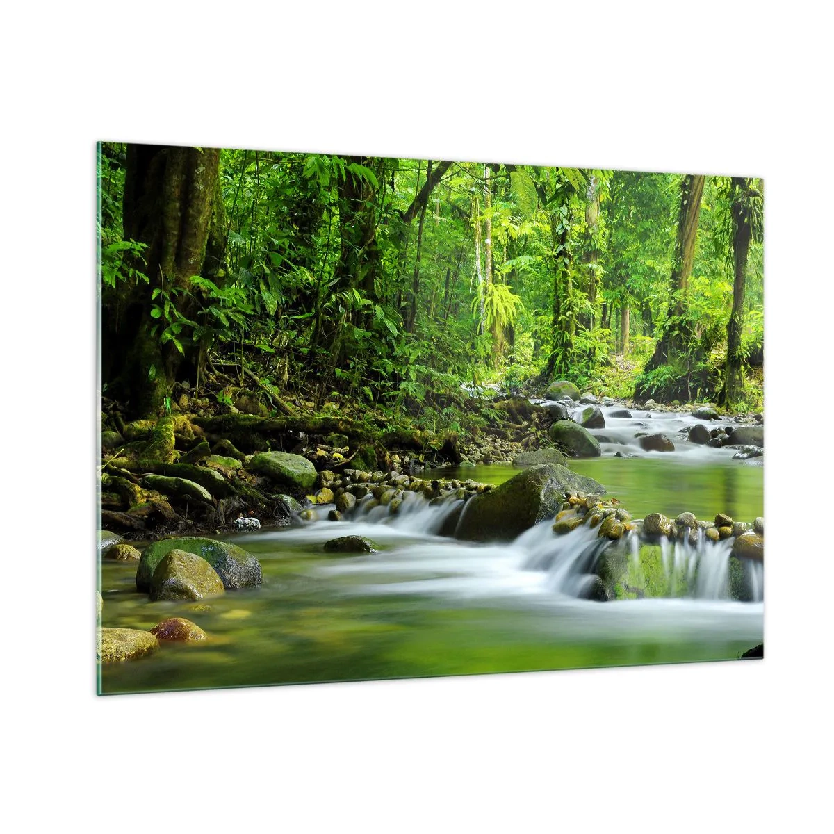 Impression sur verre - Image sur verre - Un ruisseau forestier entouré d'une végétation luxuriante - 100x70cm - Nager dans un océan de verdure - Décoration murale moderne pour le salon et la chambre ARTTOR