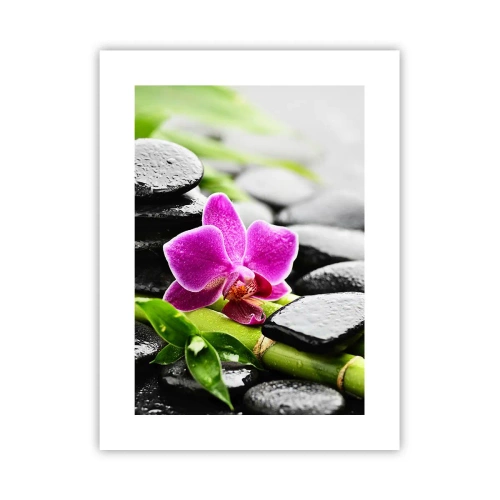 Affiche - Poster - Dans un équilibre de calme - 30x40 cm