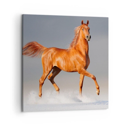 Impression sur toile - Image sur toile - La grâce dansante - 50x50 cm