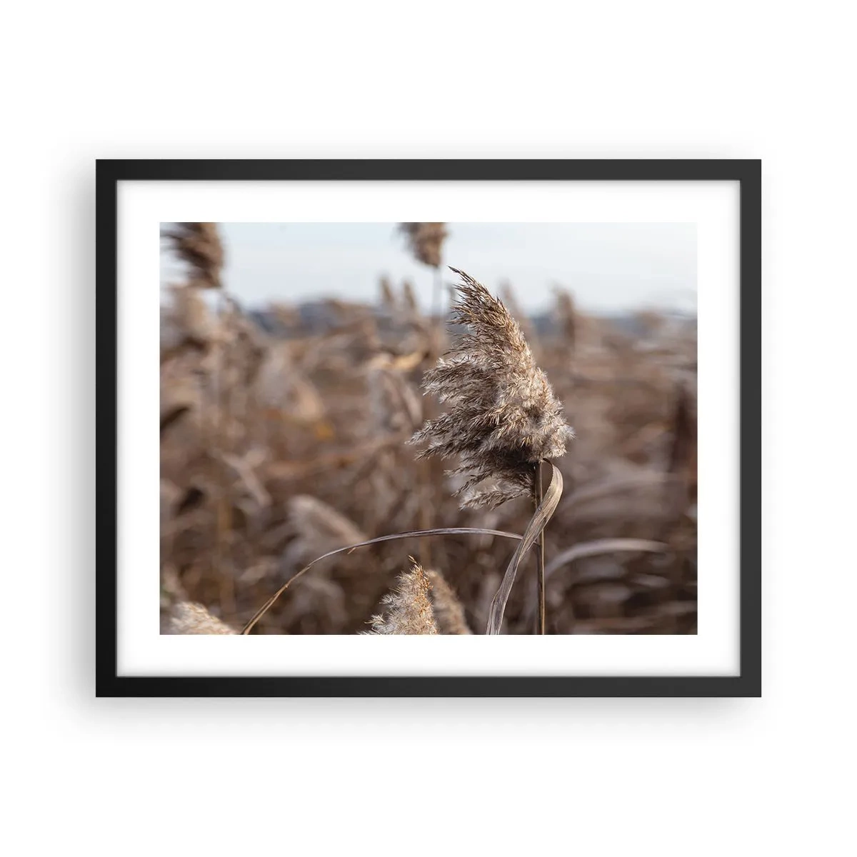 Affiche dans un cadre noir - Poster - Il est temps de s'envoler avec le vent - 50x40 cm